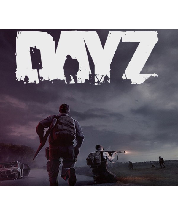 DayZ Deluxe Edition Steam Key GLOBAL